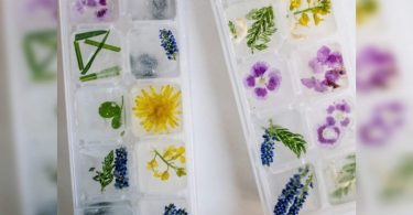 Ice cube DIY recipes for radiant skin