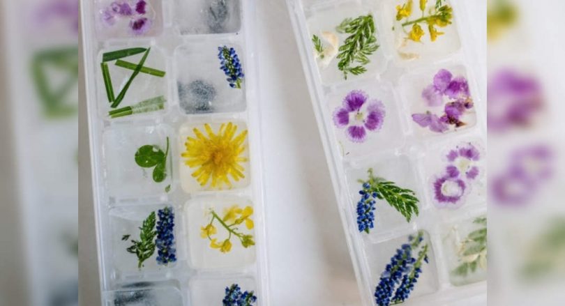 Ice cube DIY recipes for radiant skin