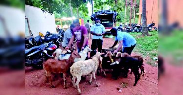 B'luru: The desire of 3 men's liquor leads to the police stealing goats