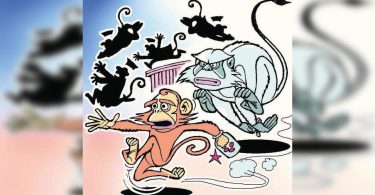 The carcass of two monkeys was found in Thane