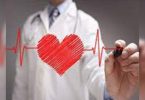 Indo-US researchers find proteins that regulate fatty acids in the heart; can help therapy