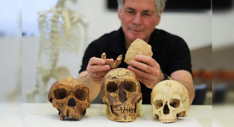 Meet Nesher Ramla Homo - Early Early Found on the Semen Israel site