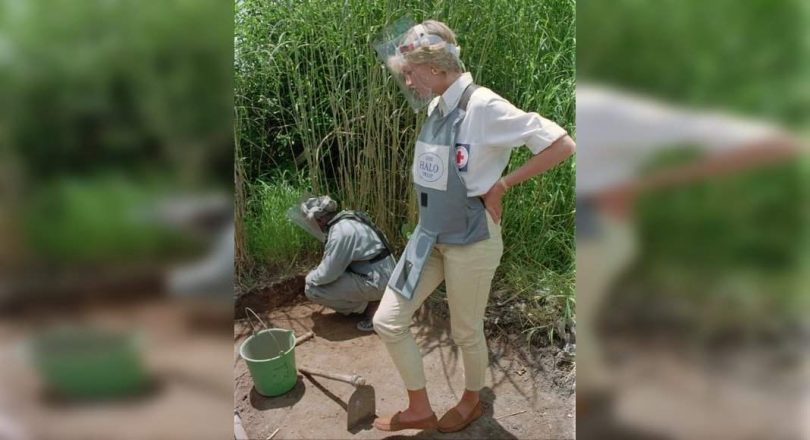 Diana Legacy Lingers as a fan marked the 60th anniversary of Royal