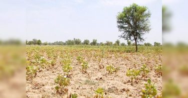 Land registration rates will rise in T'Gana from August 1