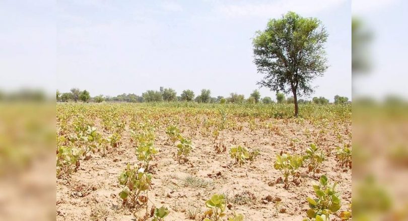 Land registration rates will rise in T'Gana from August 1