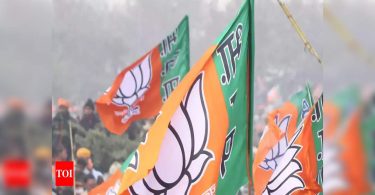 Goa: BJP is ready to go alone for state polls, 'but the gate is open'