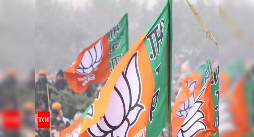 Up: 4 more candidates supported by BJP won the ZP chairman poll