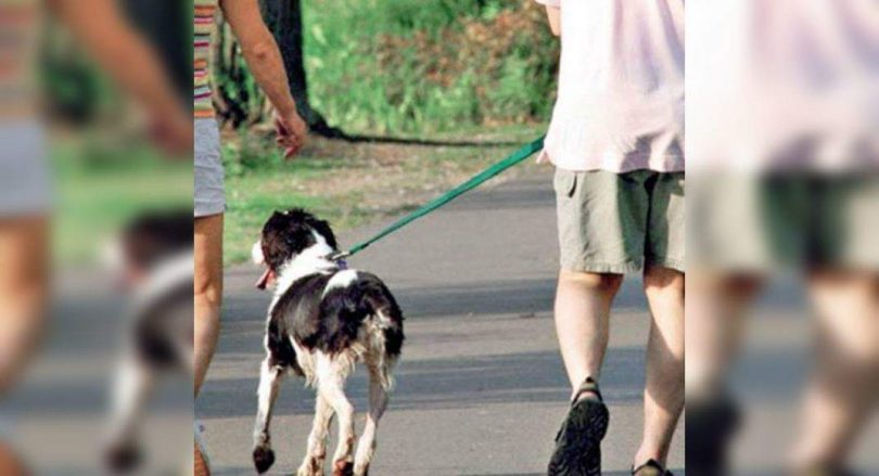 Patna: Cough Rs 500 If your pet, waterways