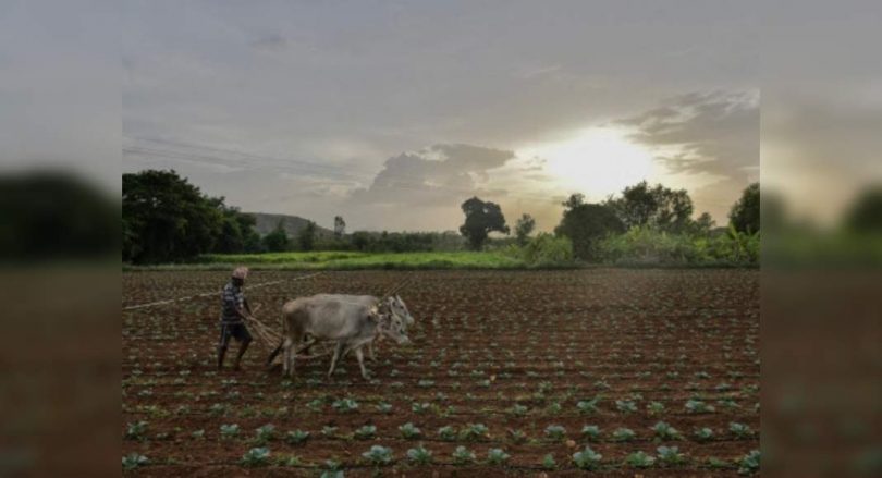 The Pesticide Management Bill may not be discussed because of the Monsun session, parliamentary panels notify not in a hurry