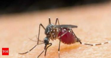 Malaria may get a disease tag that can be notified in Delhi soon
