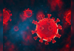 Covid-19 virus highly adapted to infect human cells, says study