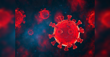 Covid-19 virus highly adapted to infect human cells, says study