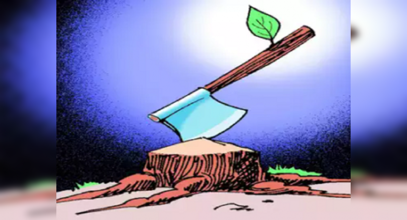 BBMP seeks public opinion to cut 833 trees for Metro