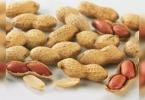 Gujarat farmers go for groundnut again