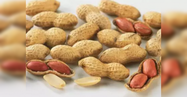 Gujarat farmers go for groundnut again