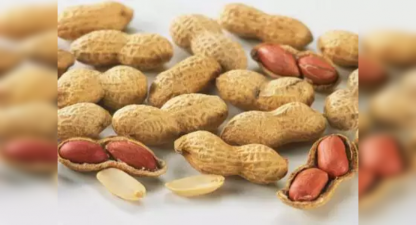 Gujarat farmers go for groundnut again