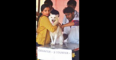 Goa: Mission Rabies’ static point vaccine drive from September 28