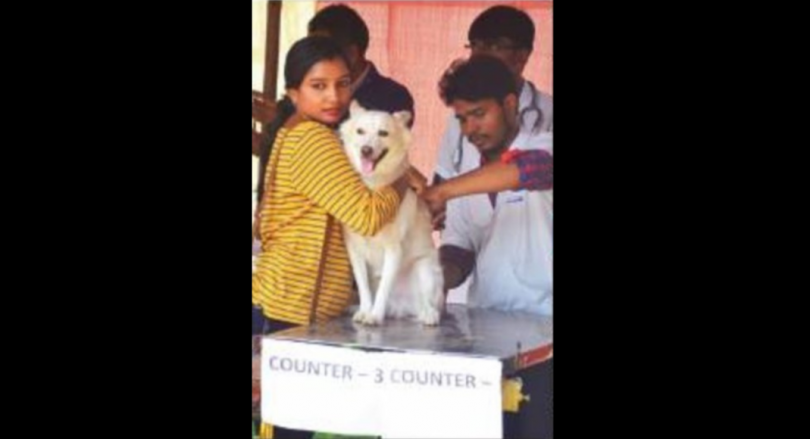 Goa: Mission Rabies’ static point vaccine drive from September 28