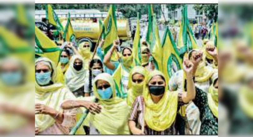 Tirelessly women stand behind farmers lending solid support