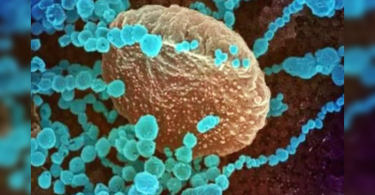 Faridabad man is Haryana’s only known Delta+ patient