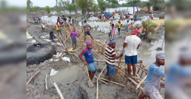 Bengal: Sunderbans islands evacuated ahead of high tide