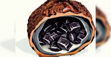 Addicts gets extra high with premium chara oil massage