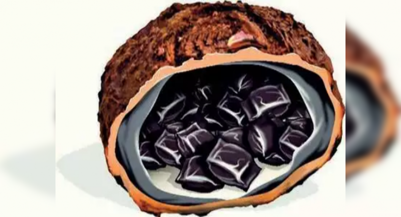 Addicts gets extra high with premium chara oil massage