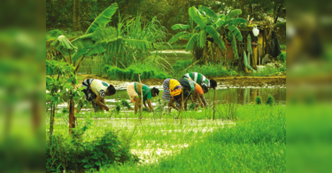 Swayampurna Goa to restart from July 1: CM Pramod Sawant