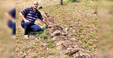 Telangana: The new plant fossil site is found in Molugu