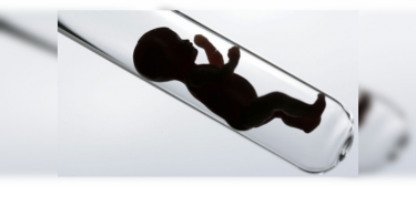 France to legalize IVF for lesbians, single women