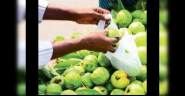 Plastic Prohibition: Center for Finding Compliance Reports from Chandigarh