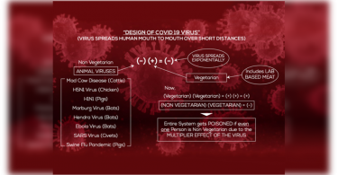 Covid-19 "Why do we need each other!"