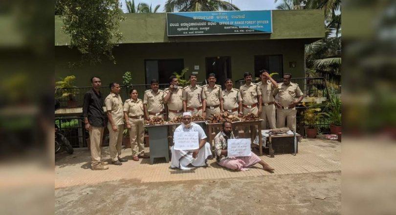 25 kg sandalwood, dead monitor lizard seized