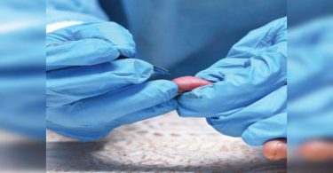 Vadodara: Active Covid cases slip below 1,000