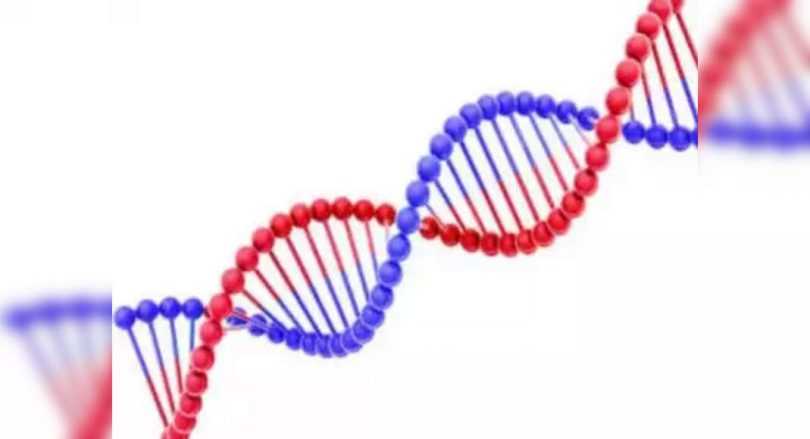 National environmental engineering and research institute sends samples of 9 Umred patients for genome sequencing to CCMB