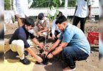 Rajkot monsoon plantation drive enlists kin, Covid-hit patients for O2 parks
