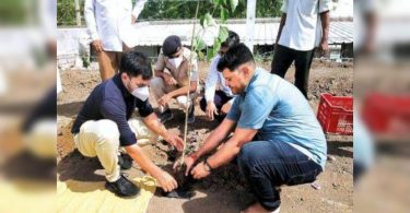 Rajkot monsoon plantation drive enlists kin, Covid-hit patients for O2 parks