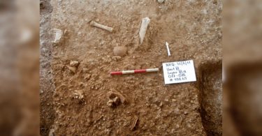 'New type of early human' found in Israel
