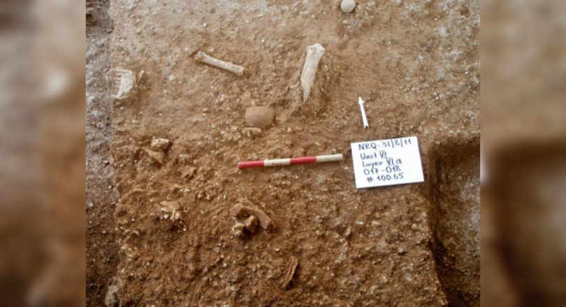 'New type of early human' found in Israel