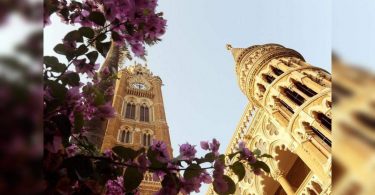 Mum Univ releases Rs3cr for research projects