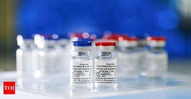 More delay in Covid vaccine 'Sputnik V' rollout in Delhi-NCR