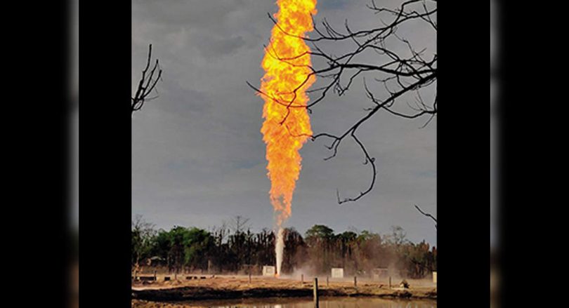 NGT directs Assam, OIL to file counter affidavits