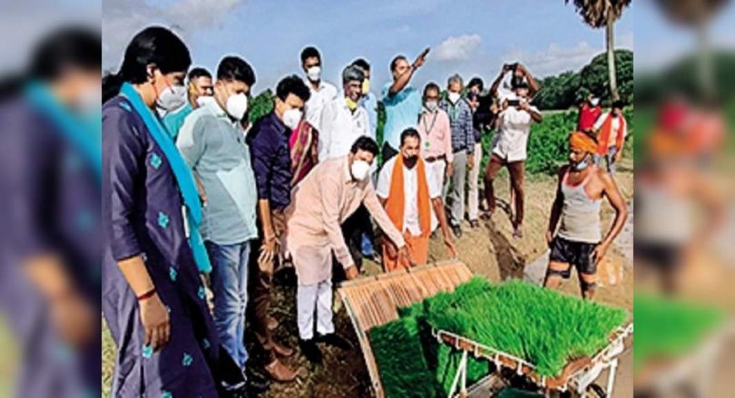 Dakshina Kannada rice may be used for PDS: B C Patil