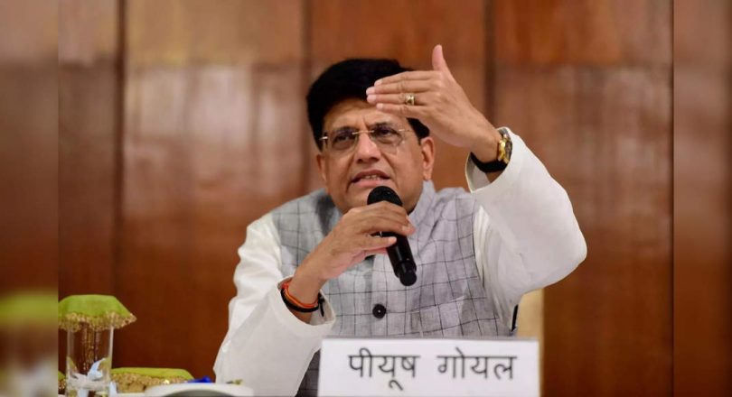 Many e-commerce firms have blatantly flouted laws of land: Piyush Goyal