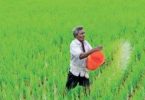 PMK's shadow budget focuses on 50 lakh agri jobs