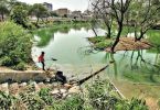 Gurugram: Clean-up done over 2 years, Sikanderpur lake set to open