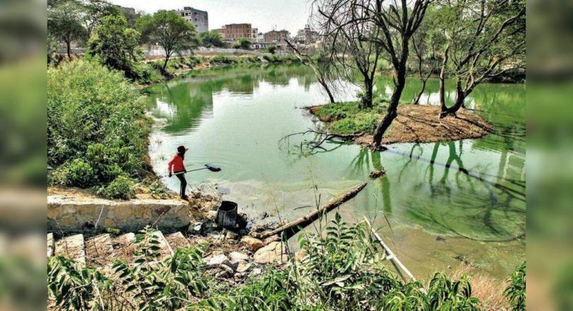 Gurugram: Clean-up done over 2 years, Sikanderpur lake set to open