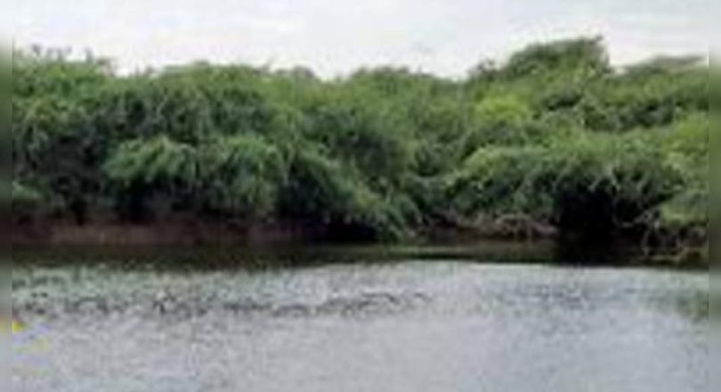 Lake subcolents? Hope floating in Dwarka Delhi