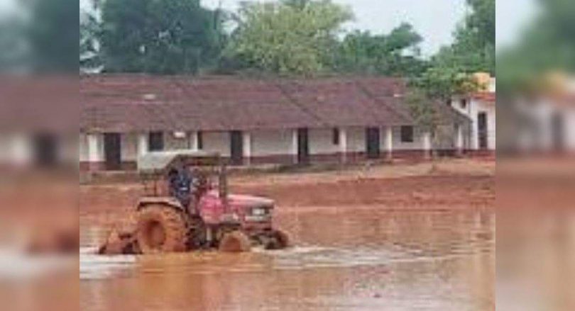 Mangaluru: part of the school field is now a rice field
