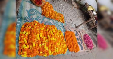 The flower market faces a big loss because of the wedding season under par at Uttar Pradesh's Prayagraj